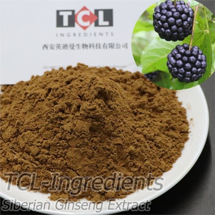 Detholiad Ginseng Siberia